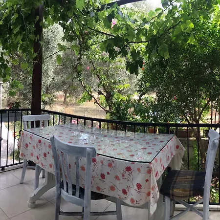 Marti Oren (Milas)