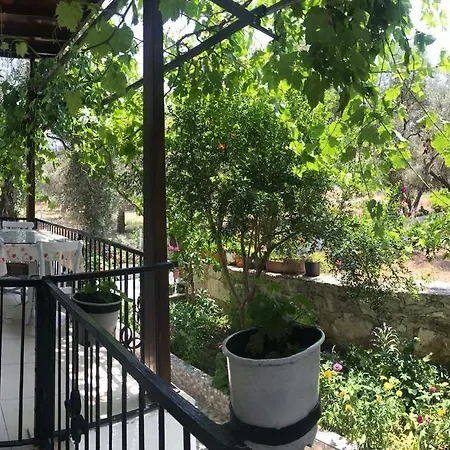 Marti * Oren (Milas)