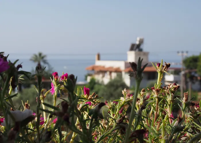 Marti * Oren (Milas)