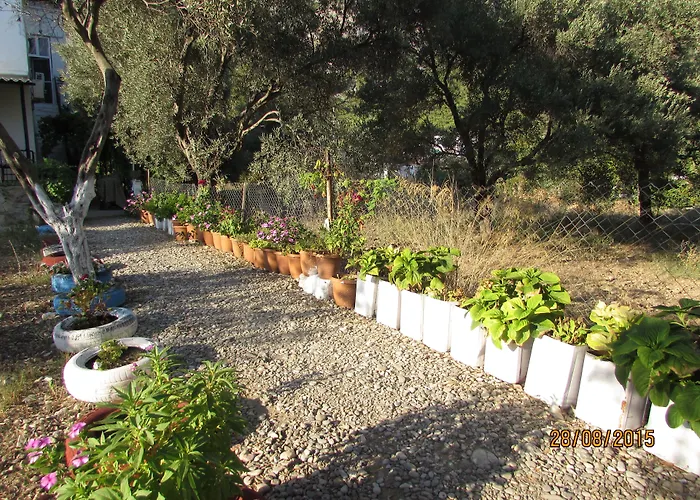 Marti * Oren (Milas)